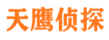 通川市侦探公司